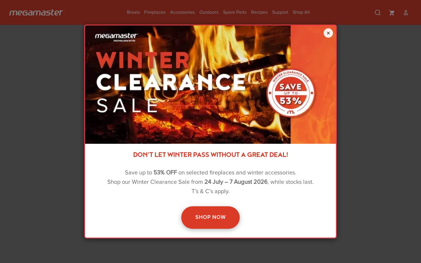megamaster.co.za homepage screenshot