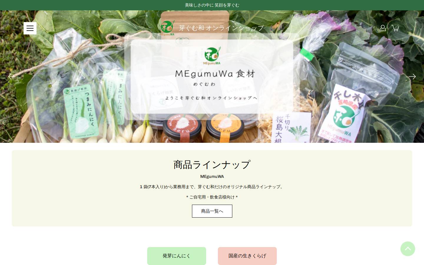 megumuwa.net homepage screenshot