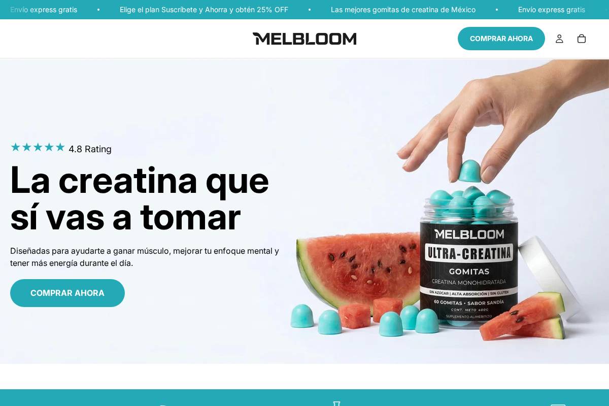 melbloom.com.mx homepage screenshot