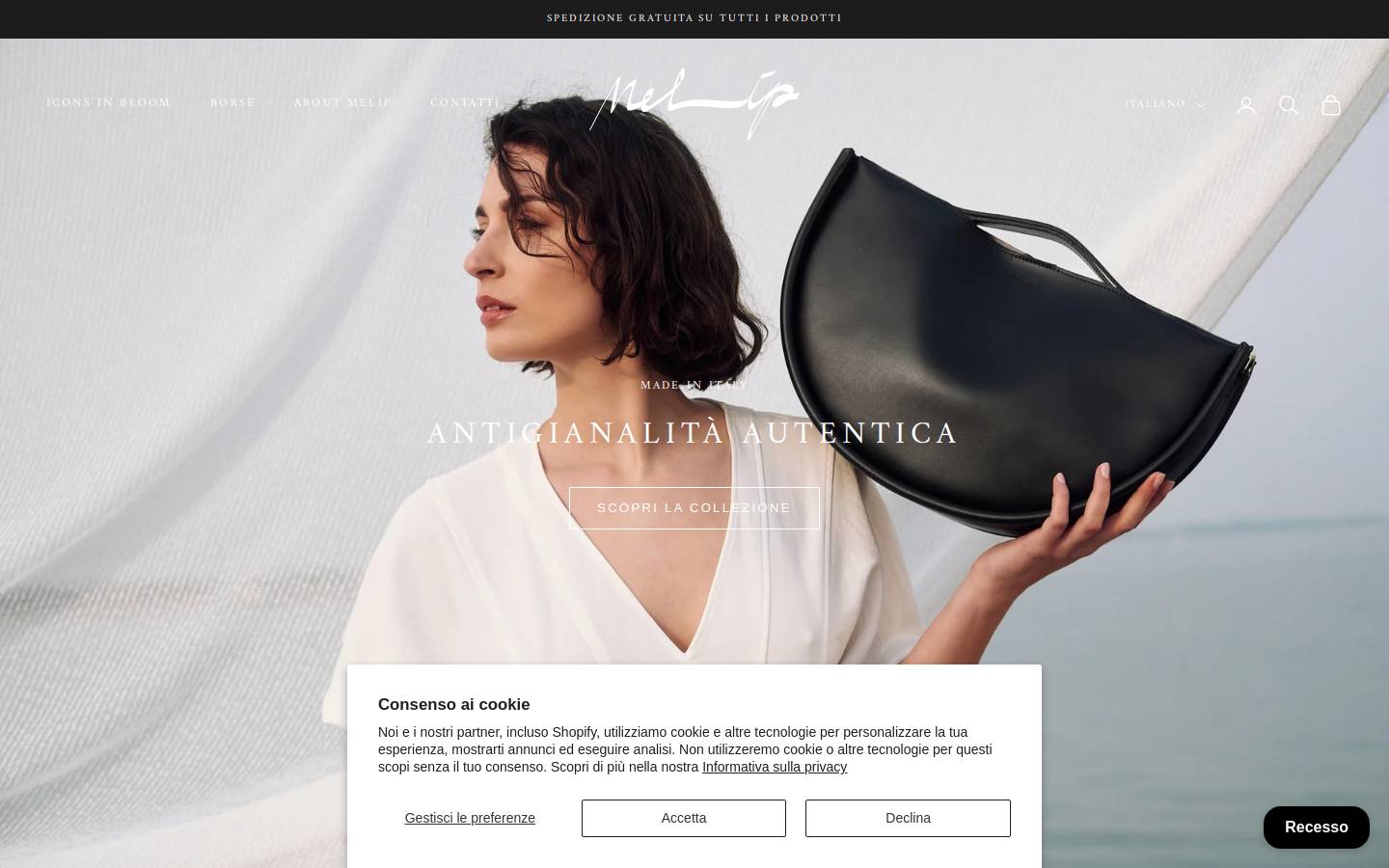 melip.it homepage screenshot