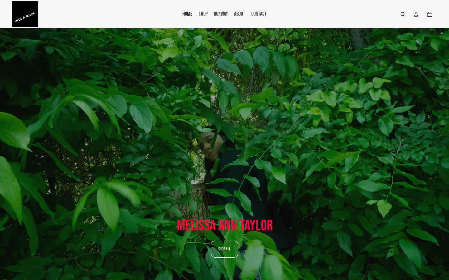melissaanntaylor.com homepage screenshot