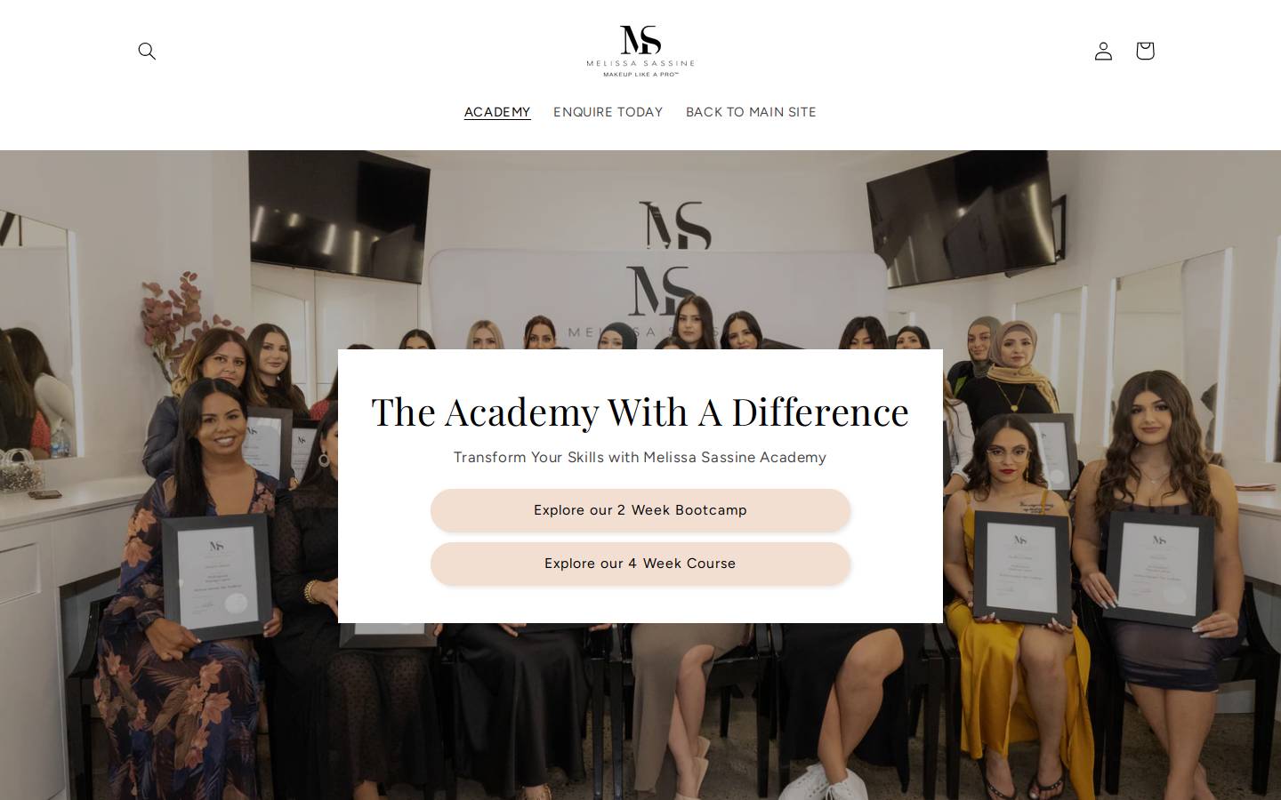melissasassinetheacademy.com homepage screenshot