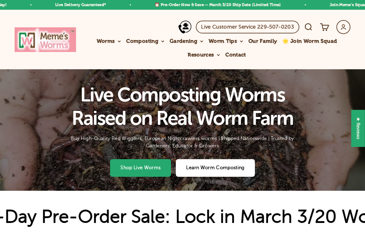 Meme's Worms homepage screenshot