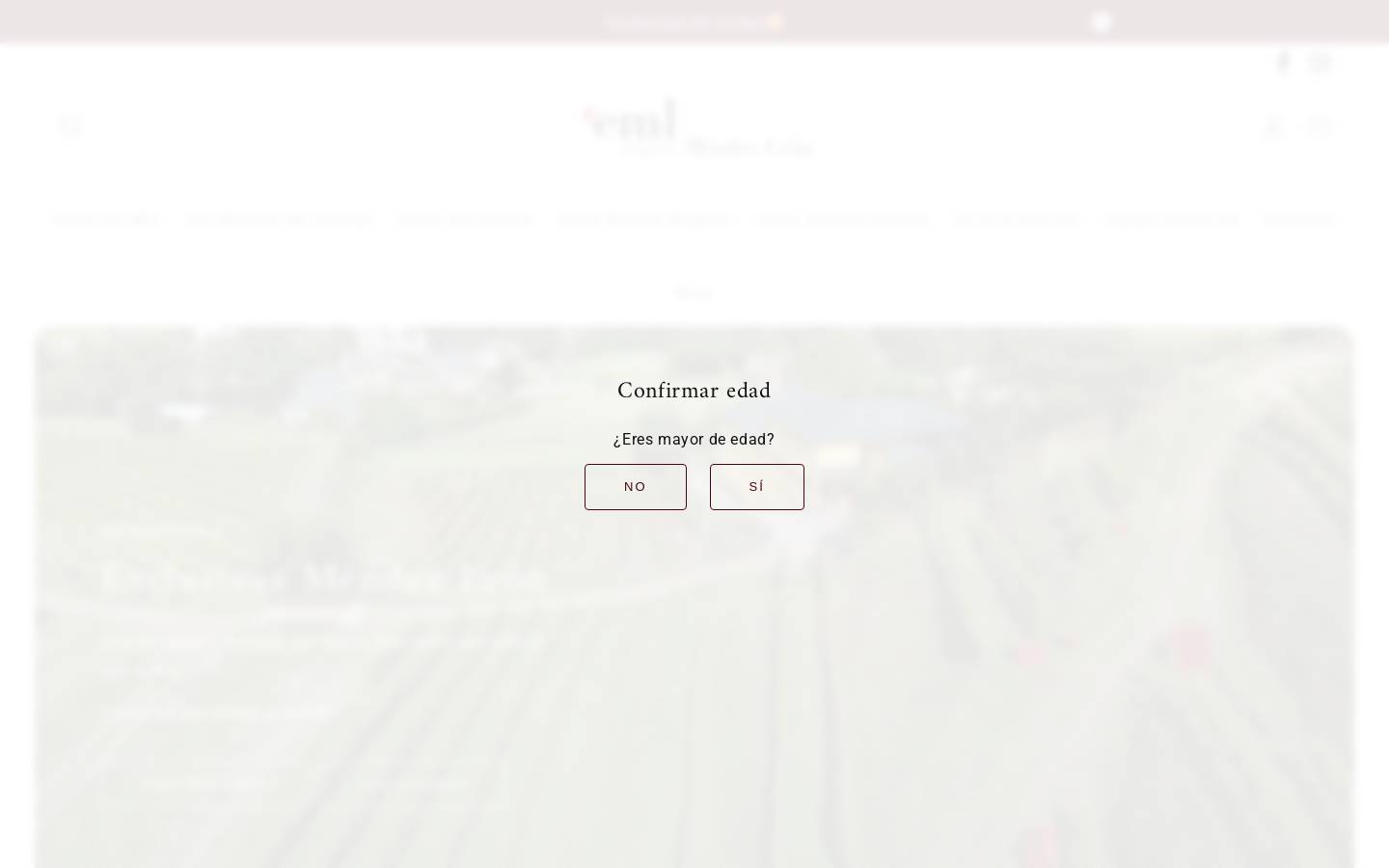 mendezleon.com homepage screenshot