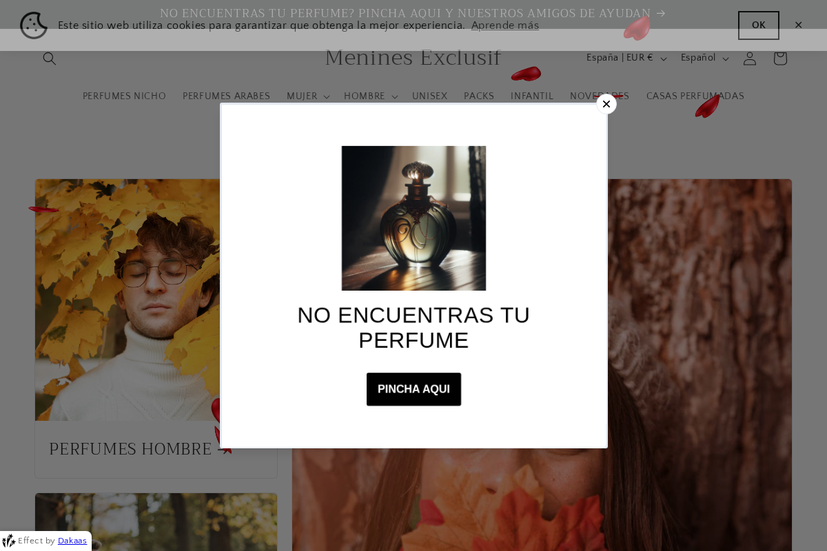 Menines Exclusif homepage screenshot