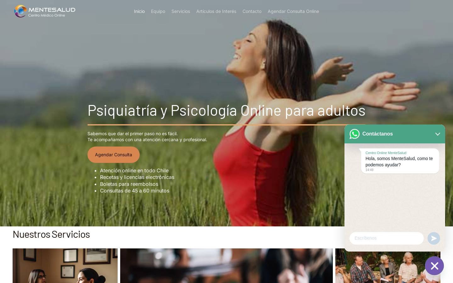 mentesalud.cl homepage screenshot