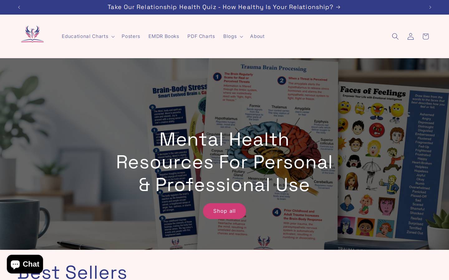mentorstorenow.com homepage screenshot