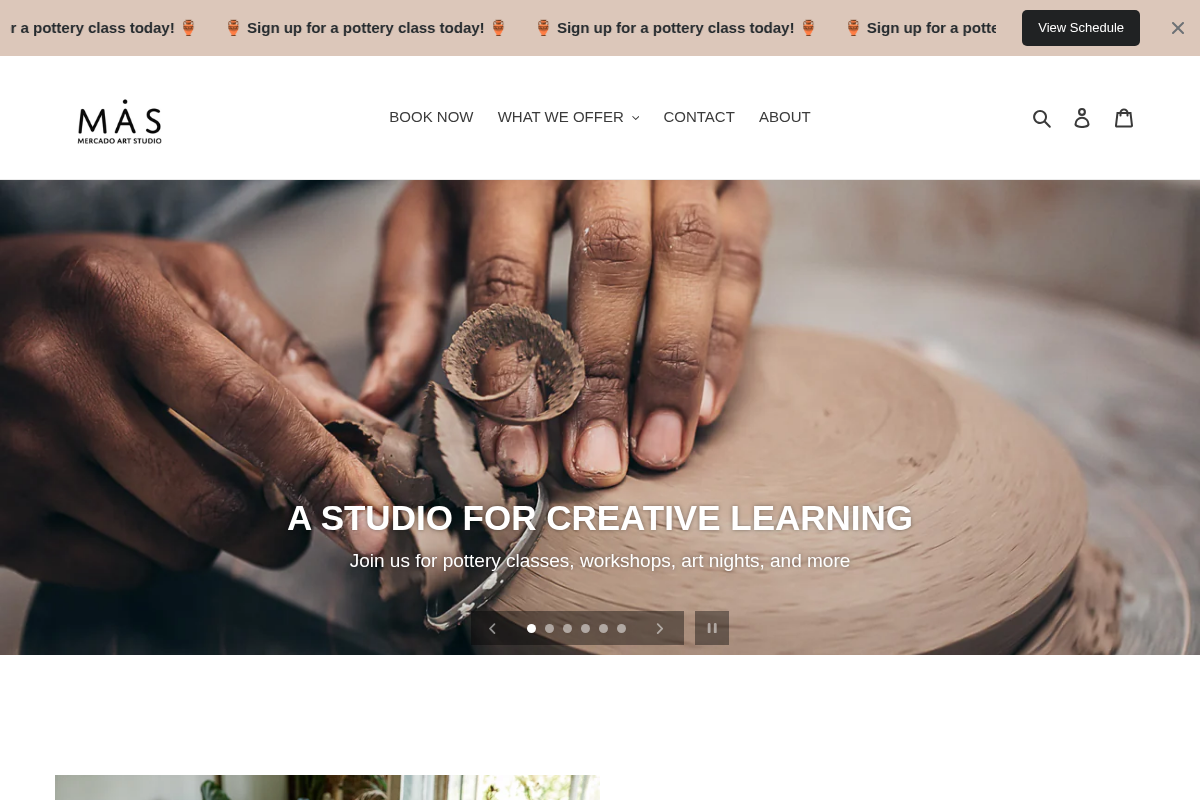 MAS Arte_Sano homepage screenshot