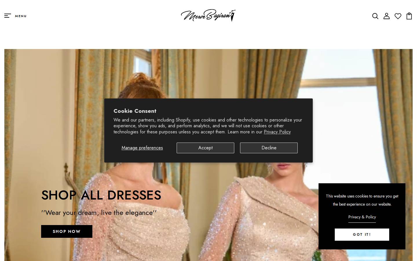 mervebagiran.com homepage screenshot