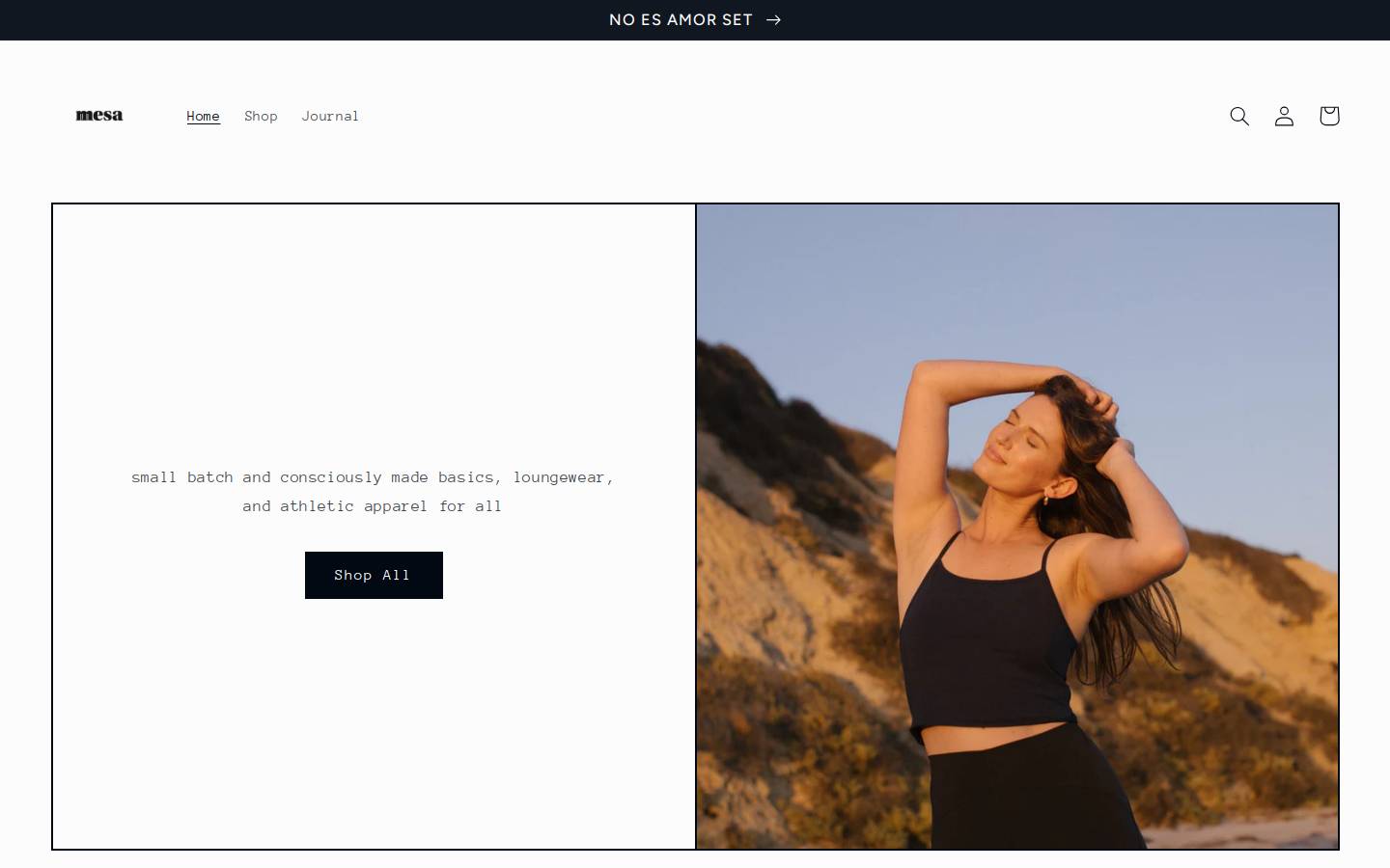 mesa-fitness.com homepage screenshot