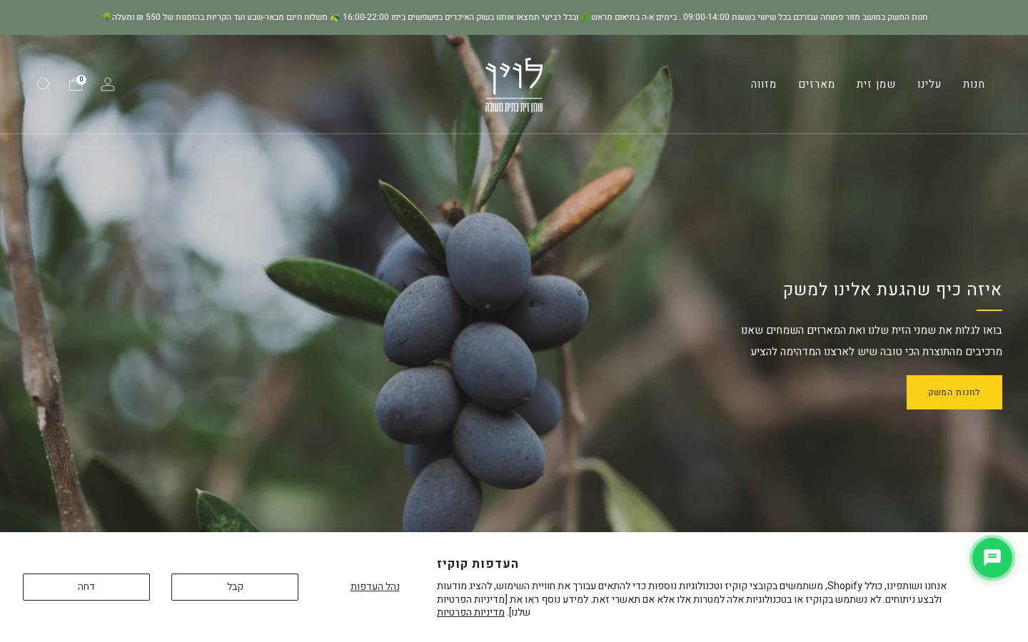 mesheklevin.com homepage screenshot