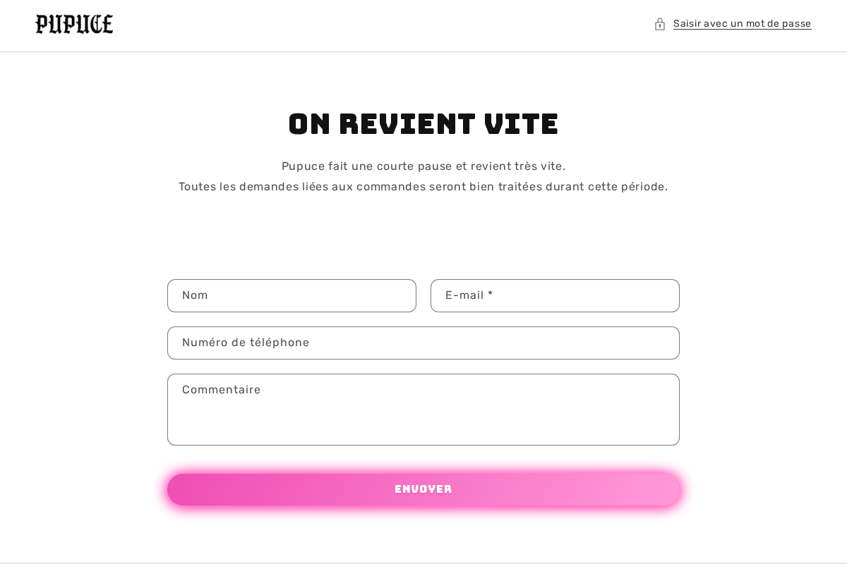 Mesptitespupuces homepage screenshot