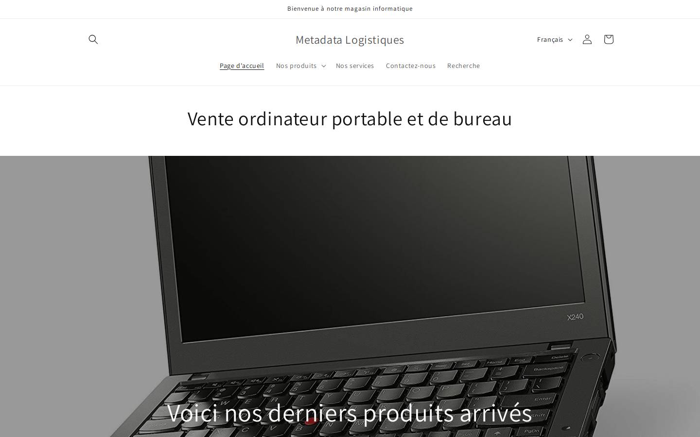 metadatalogistics.com homepage screenshot