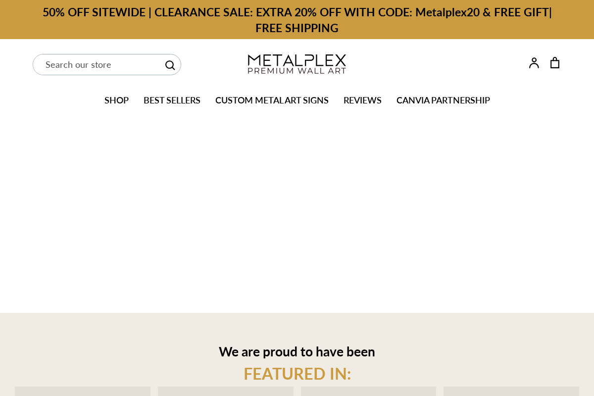 metal-plex.com homepage screenshot