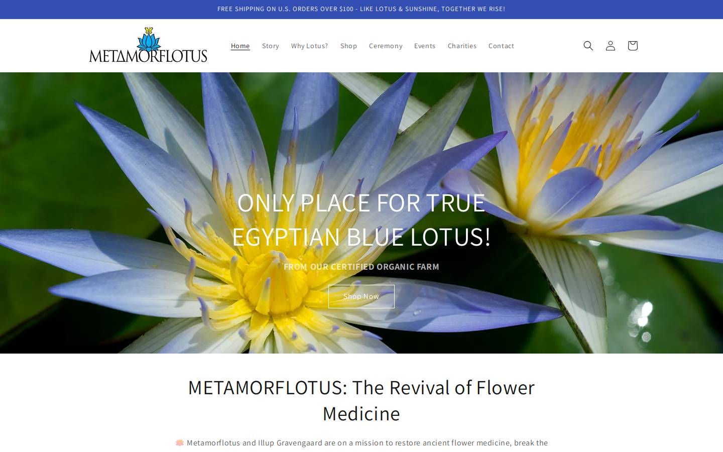 Metamorflotus homepage screenshot