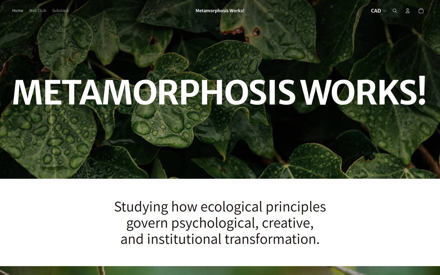 metamorphosisworks.com homepage screenshot