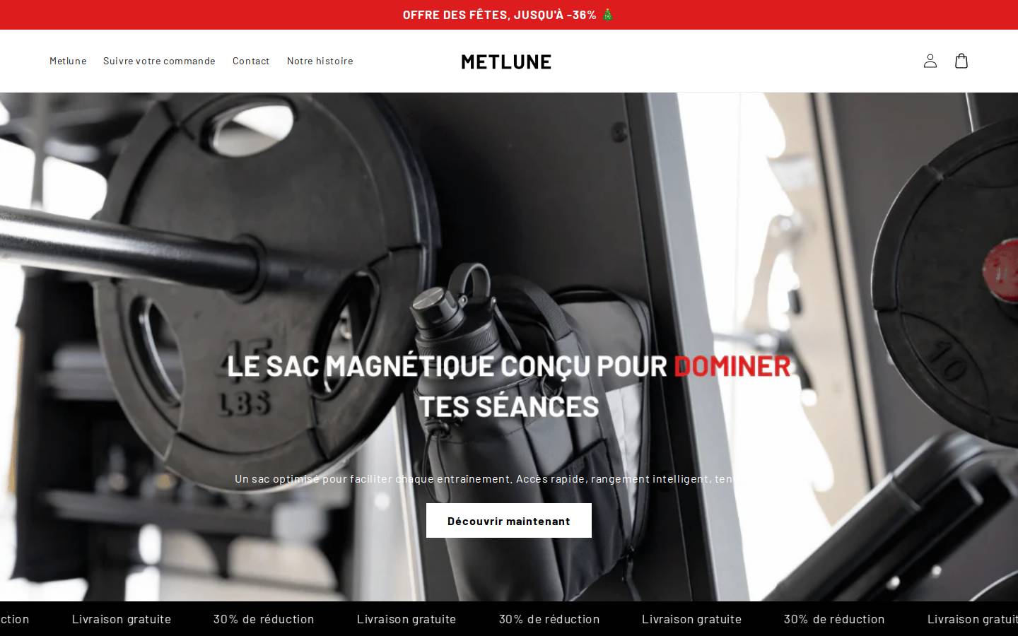 metlune.com homepage screenshot