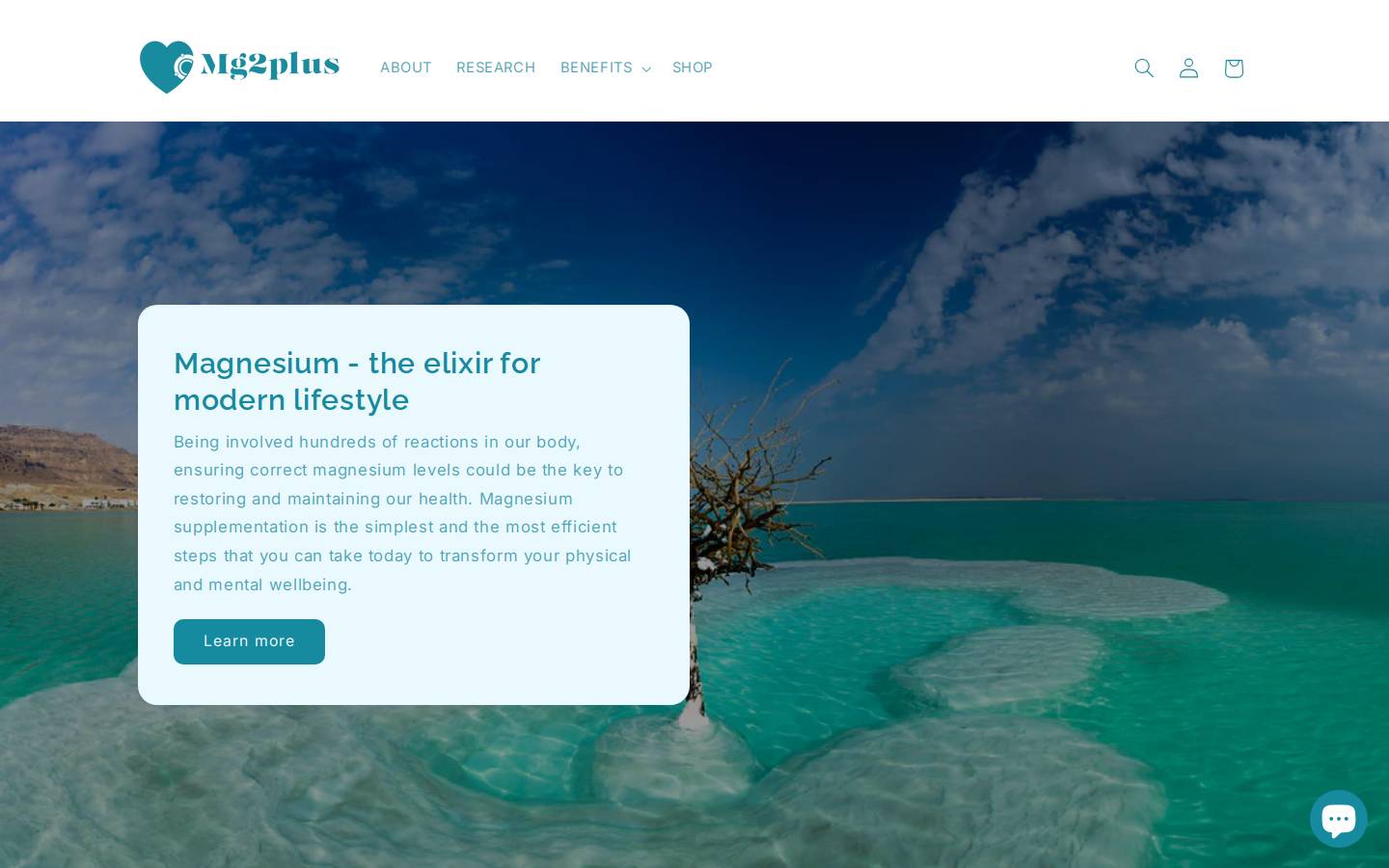 mg2plus.com homepage screenshot