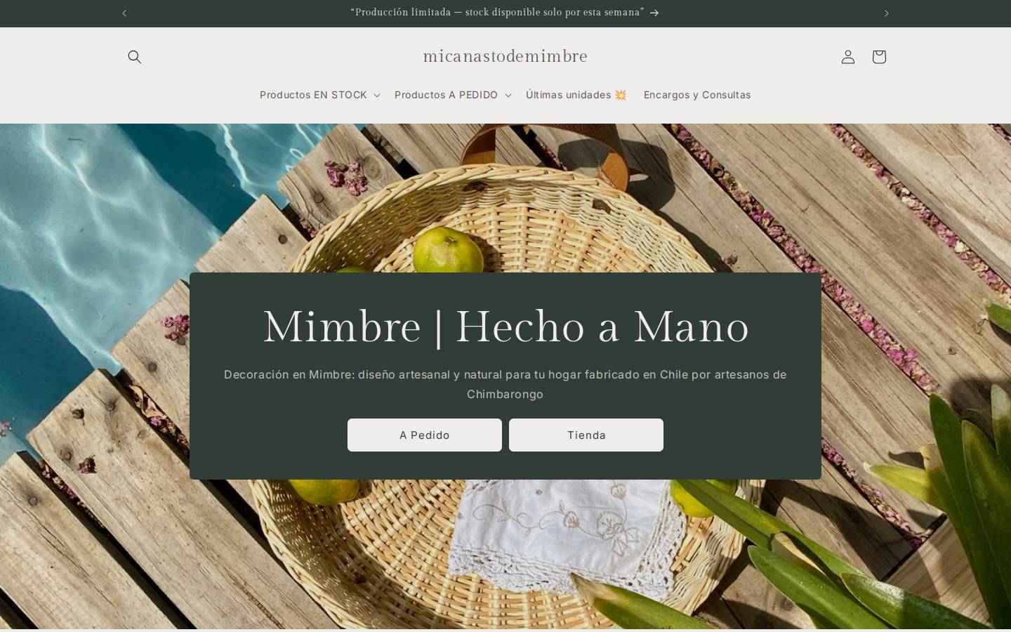 micanastodemimbre.cl homepage screenshot