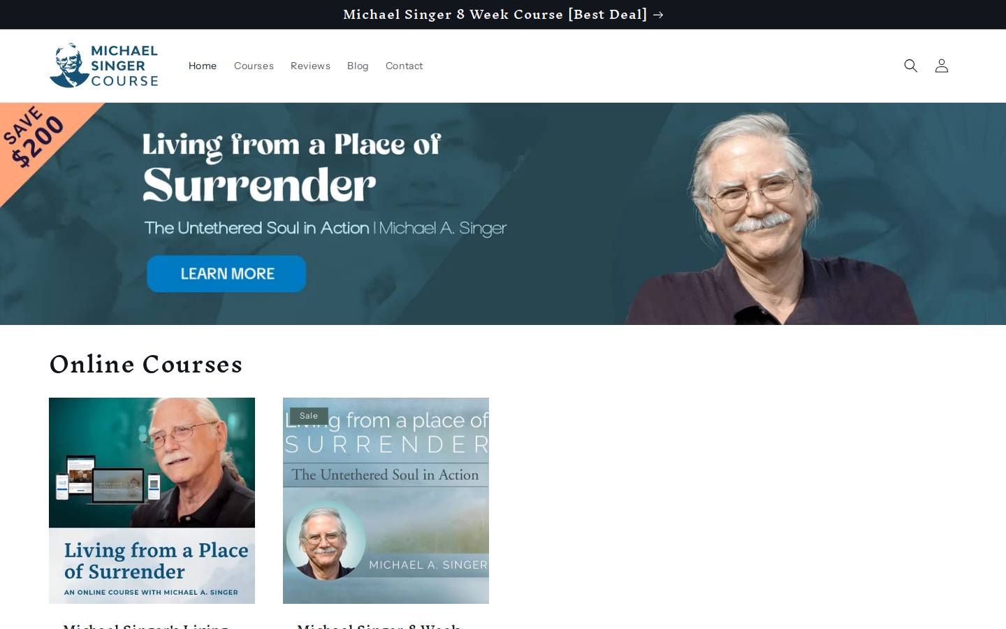 michaelsingercourse.com homepage screenshot