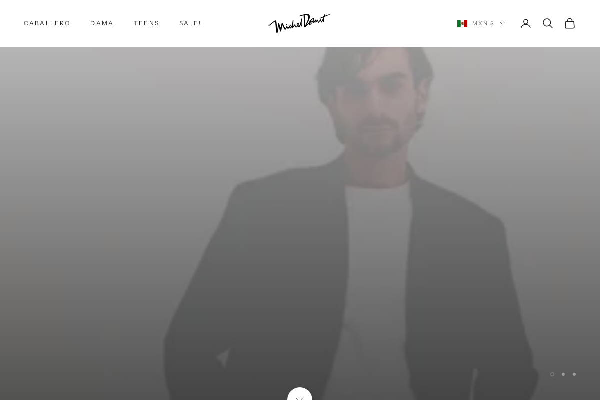 Michel Domit homepage screenshot