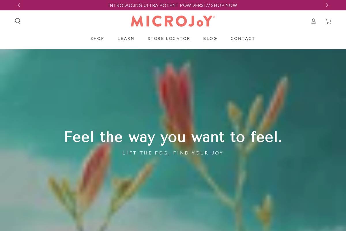 microjoyful.com homepage screenshot