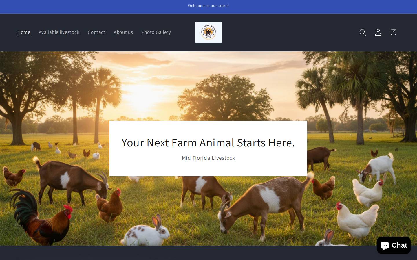 midfloridalivestock.com homepage screenshot