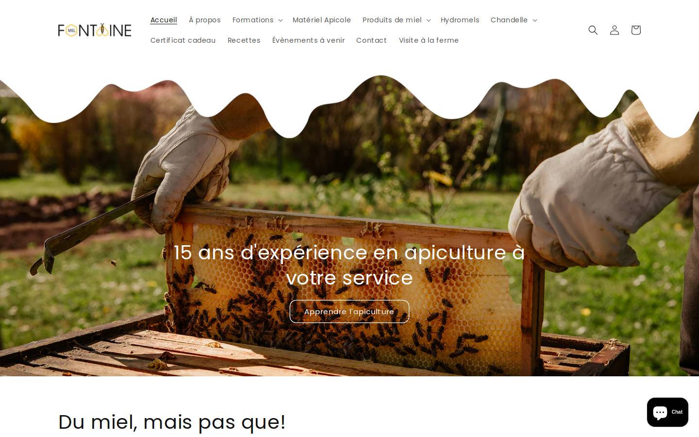 mielfontaine.ca homepage screenshot
