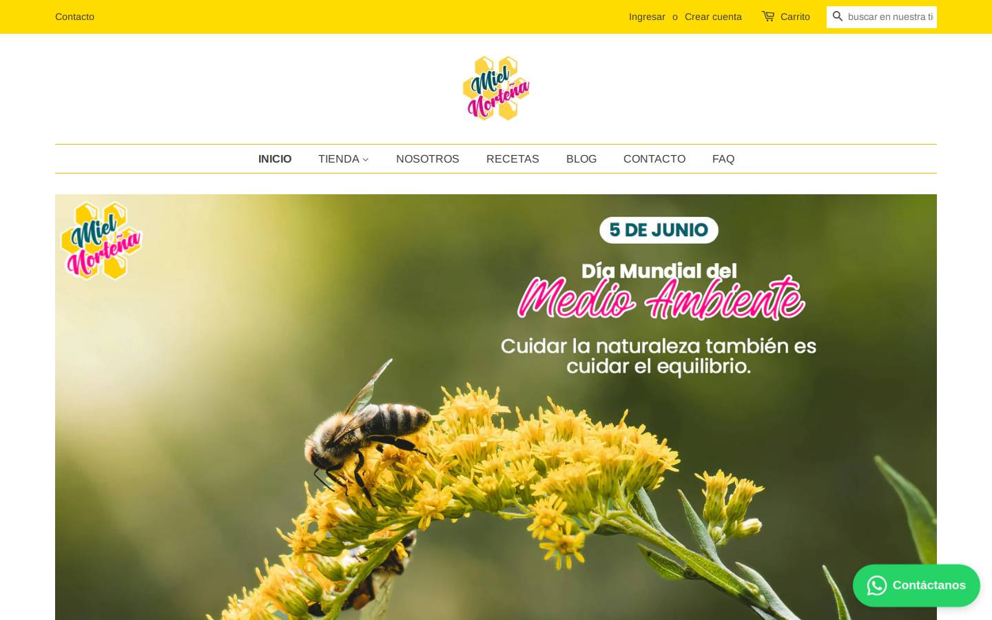 mielnortena.com homepage screenshot