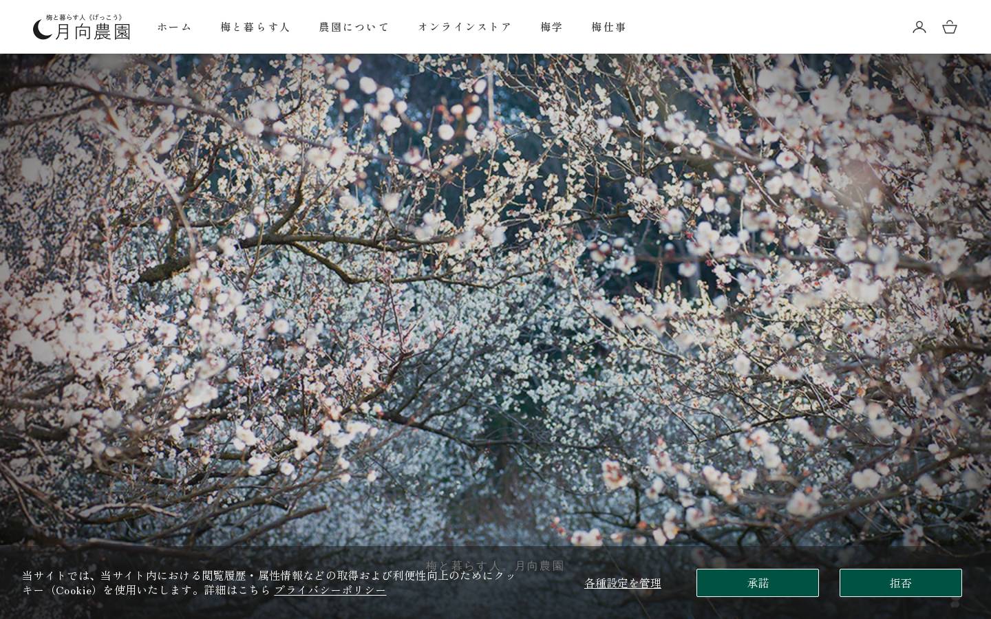 minabe.net homepage screenshot