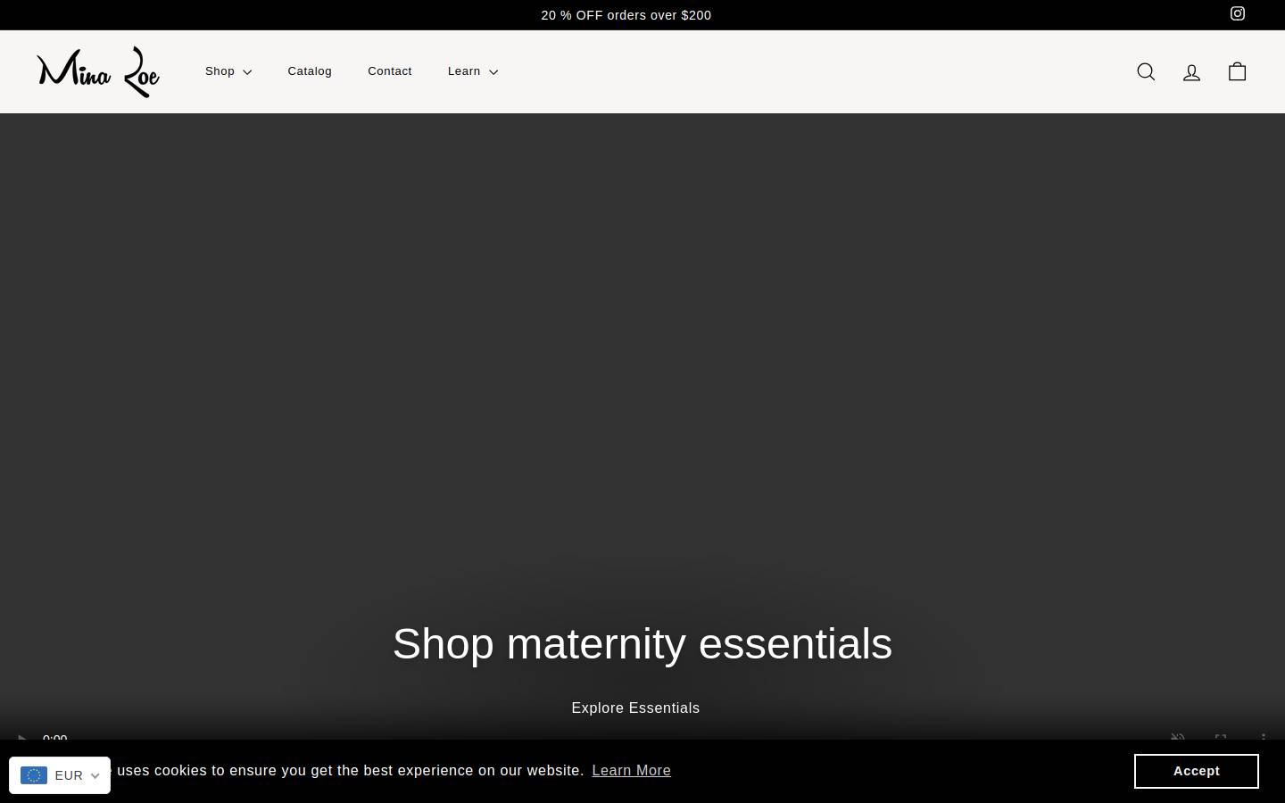 MINA ROE homepage screenshot