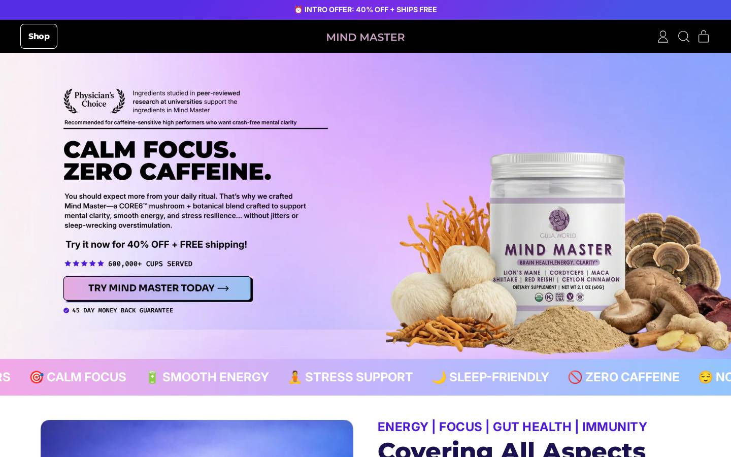 mindmaster.life homepage screenshot