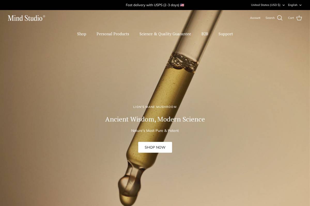 Mind Studio homepage screenshot