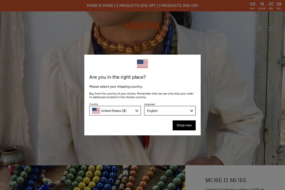 minervabrandesp.com homepage screenshot