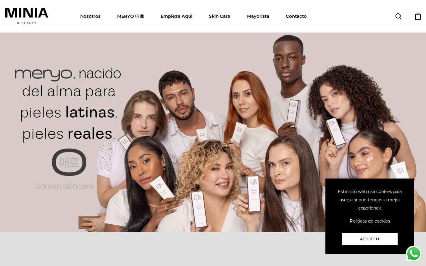minia.co homepage screenshot