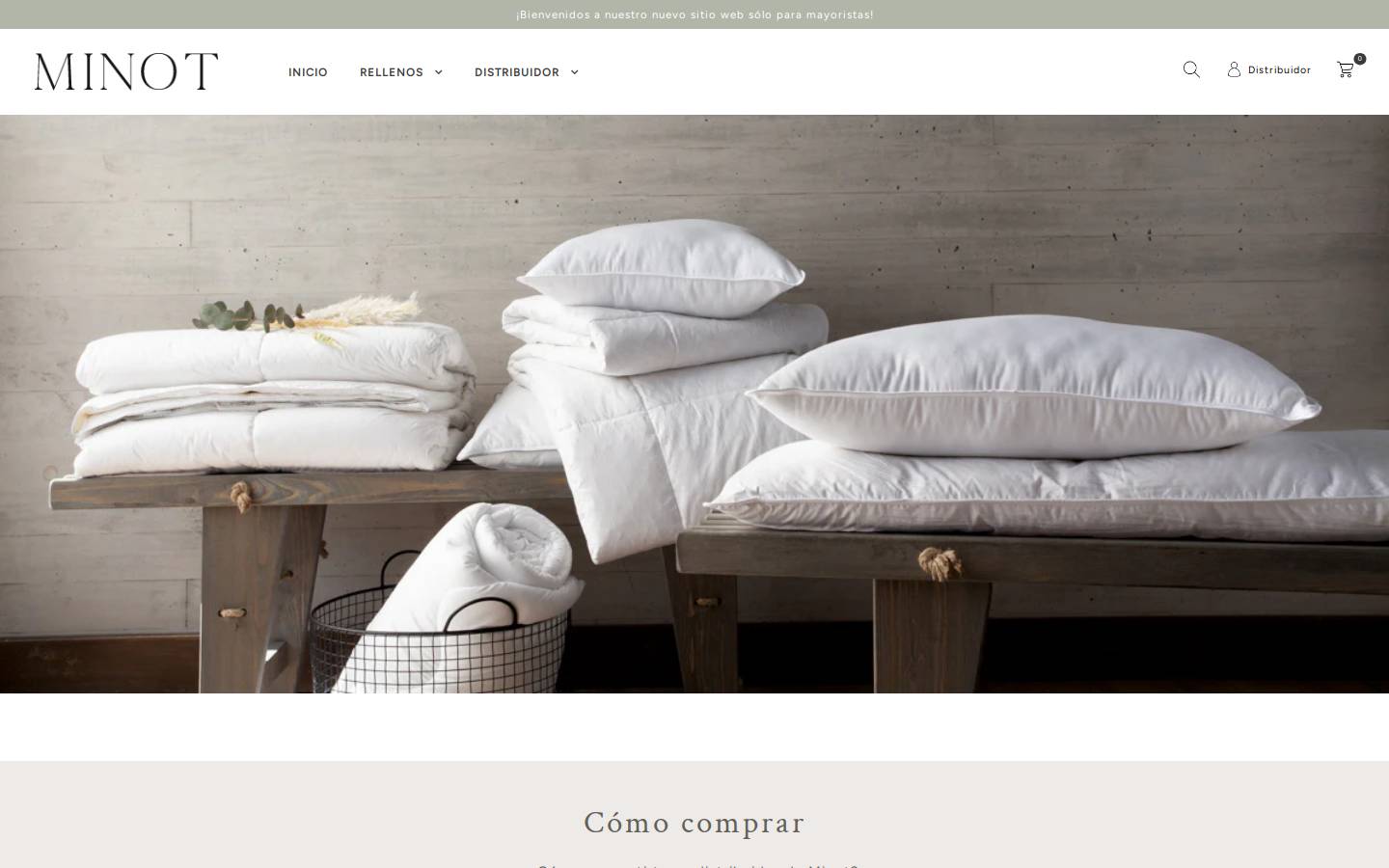 minot.cl homepage screenshot