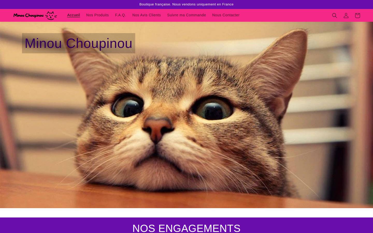 minouchoupinou.com homepage screenshot