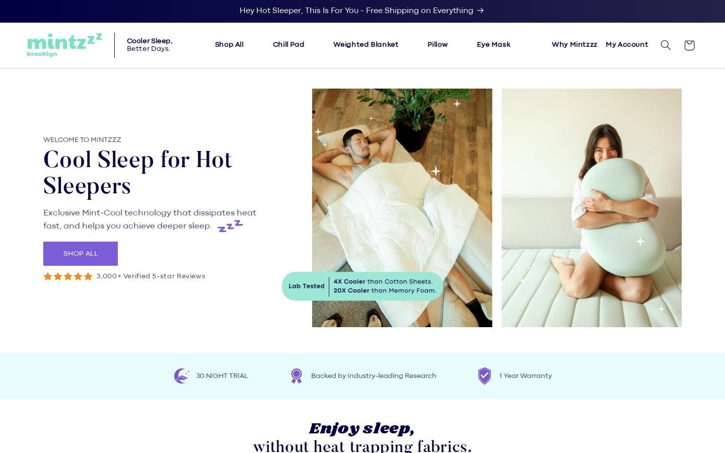 mintzzz.com homepage screenshot