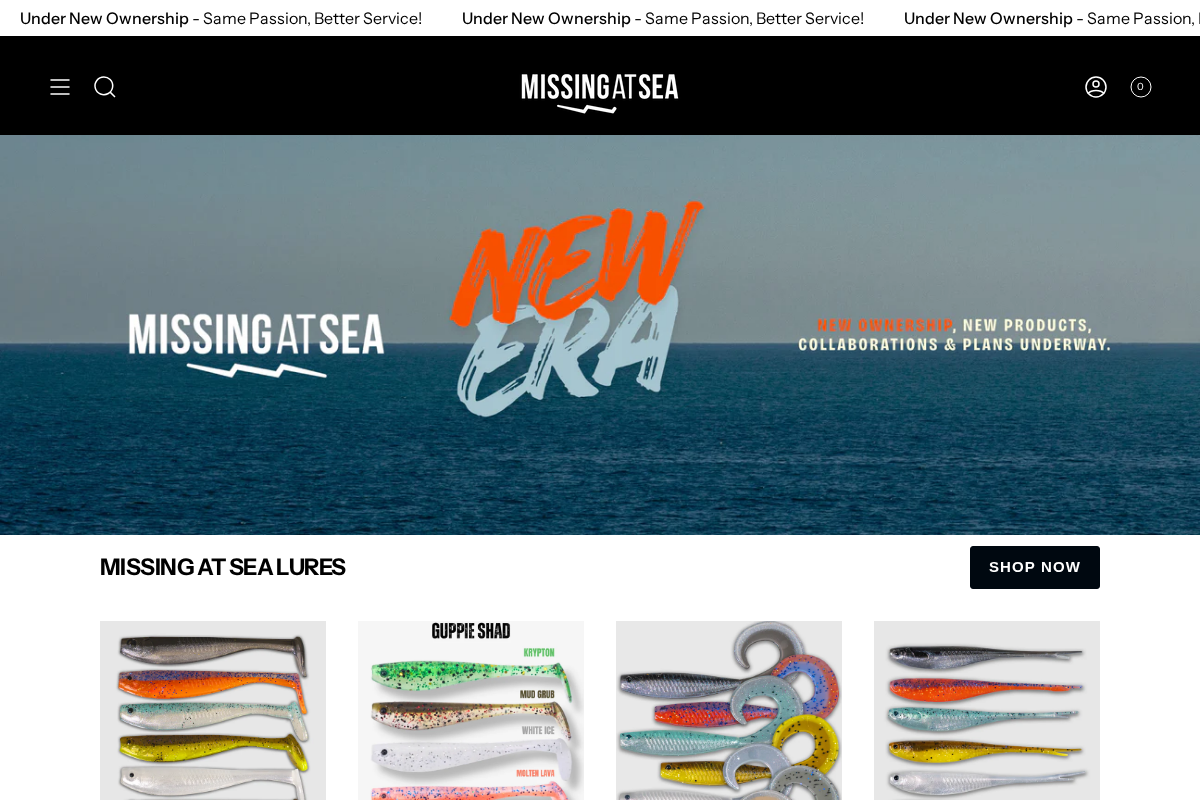 Missing At Sea homepage screenshot