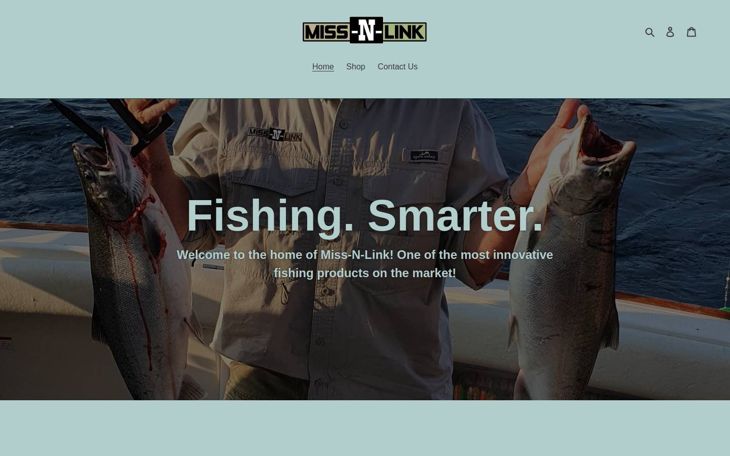 missnlink.com homepage screenshot