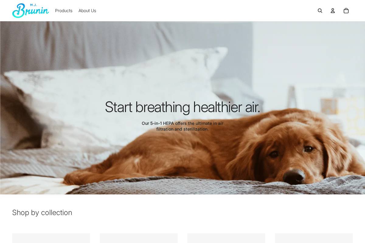 mjbrunin.com homepage screenshot