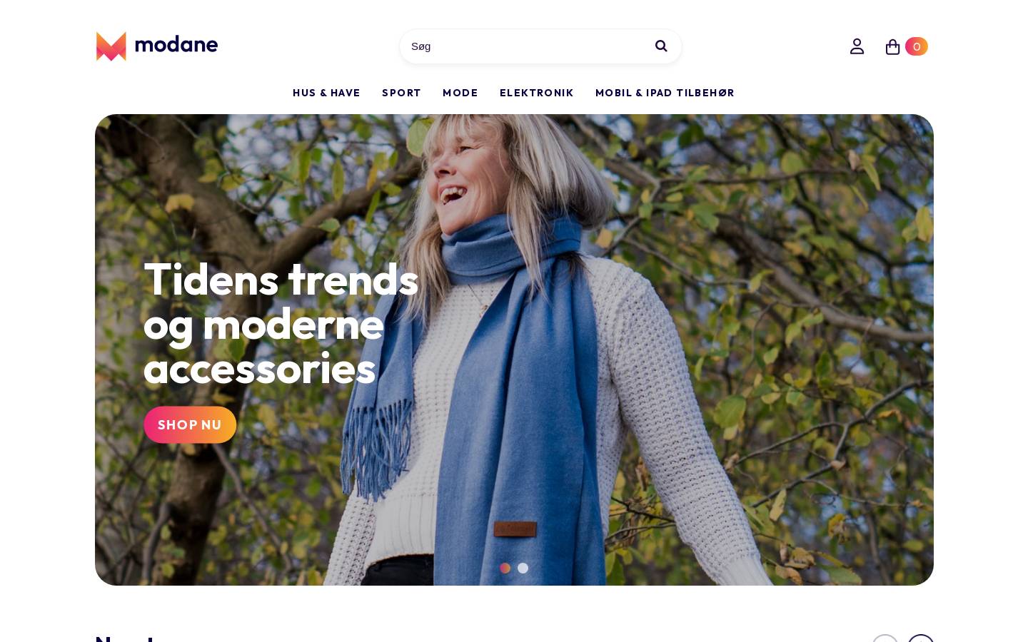 Modane ApS homepage screenshot