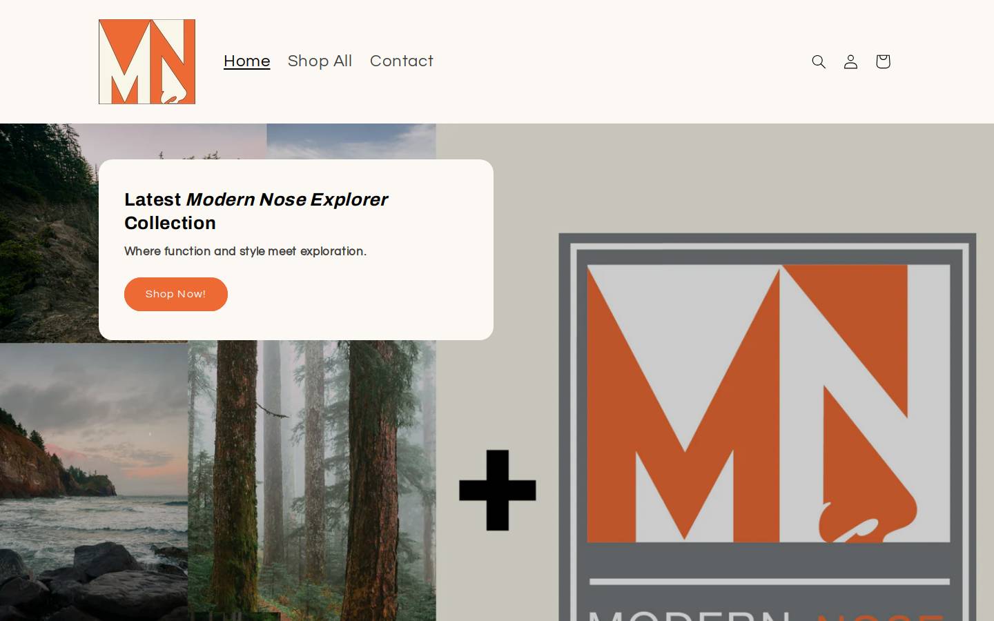 modernnosemarket.com homepage screenshot
