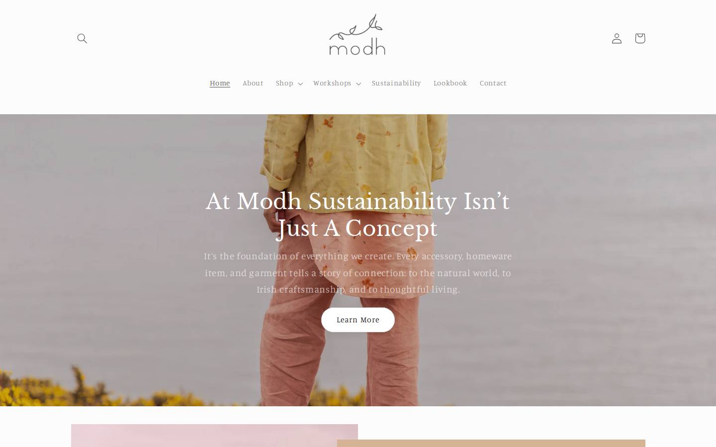 modh.ie homepage screenshot