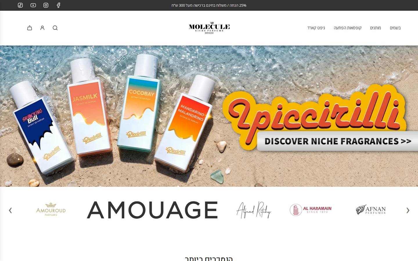 molecule-perfume.co.il homepage screenshot