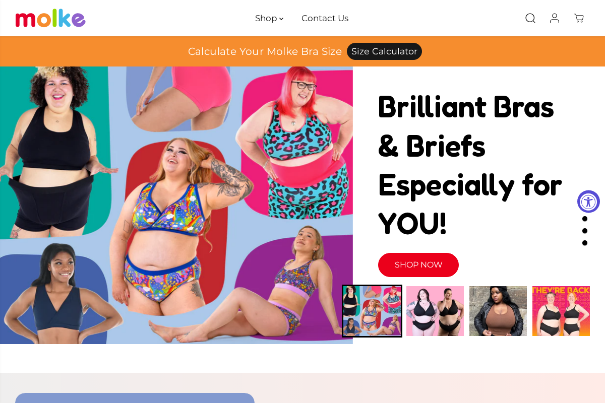 Molke homepage screenshot