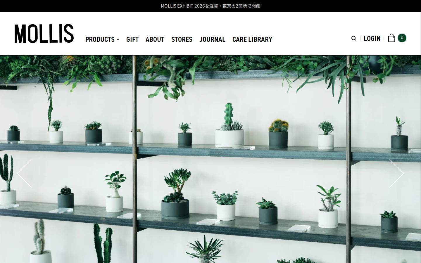 mollis-kinto.com homepage screenshot