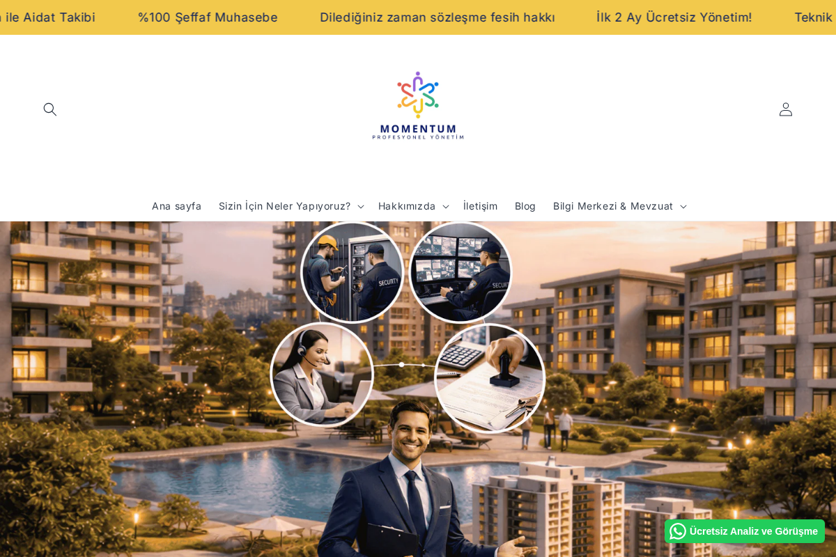 momentumsiteyonetim.com homepage screenshot