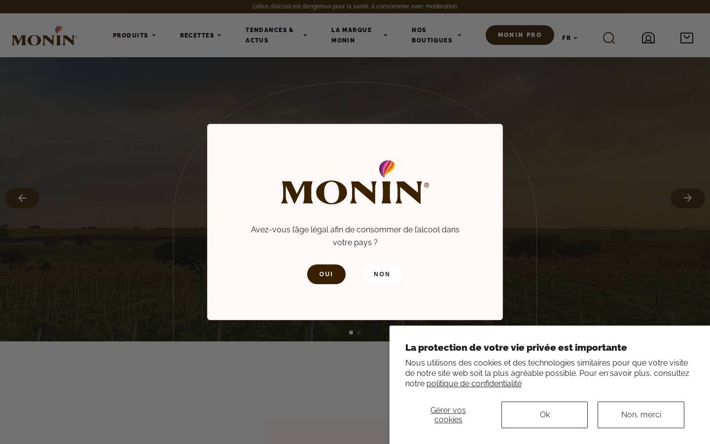 Monin homepage screenshot
