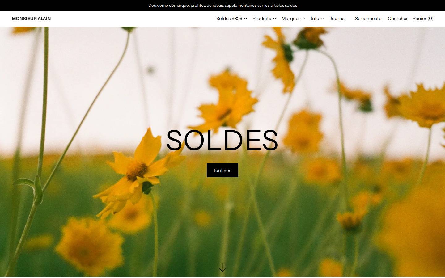 monsieuralain.ch homepage screenshot